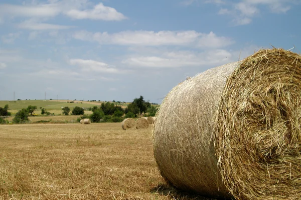 农村领域与圆形的干草 — 图库照片