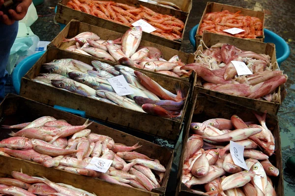 新鲜海产食品 — 图库照片