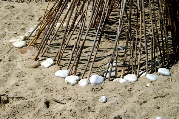 Bamboo at sand — Stock Photo, Image