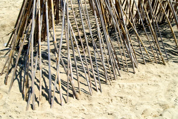 Bambus im Sand — Stockfoto
