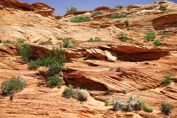 Πετρώματα στο glen canyon — Φωτογραφία Αρχείου