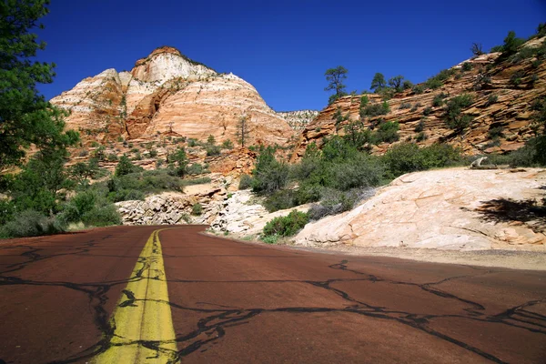 Road in Zion NP, Utah — Stock Photo, Image