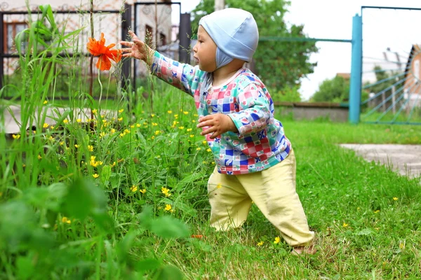 Kırmızı çiçek alınan bebek — Stok fotoğraf