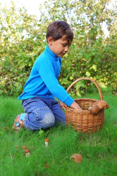 Mały chłopiec z grzybami na zewnątrz — Zdjęcie stockowe