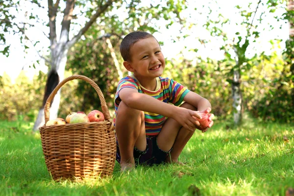 Chłopiec z jabłek w ogrodzie — Zdjęcie stockowe