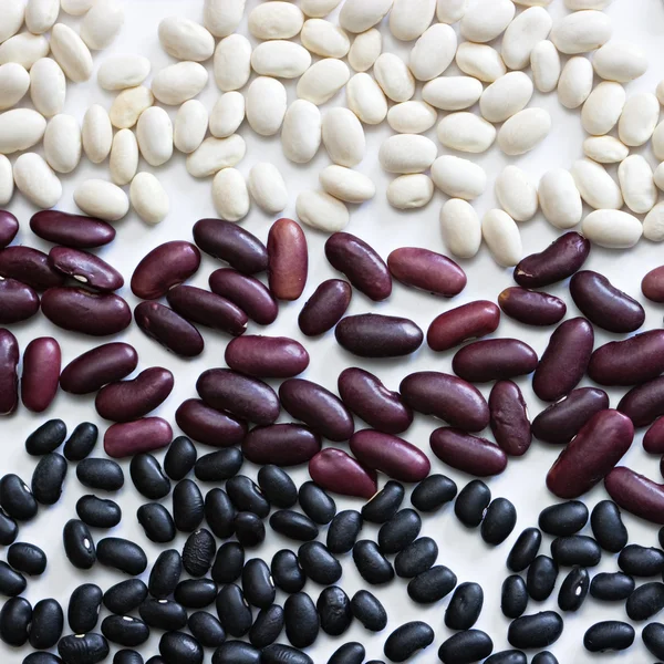 Smíšené Sušené fazole — Stock fotografie
