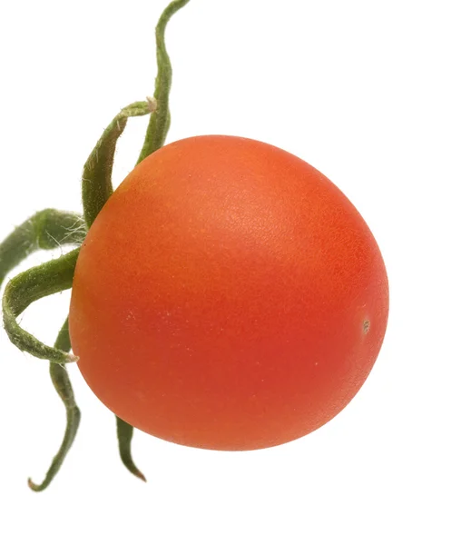 Tomaatti. — kuvapankkivalokuva