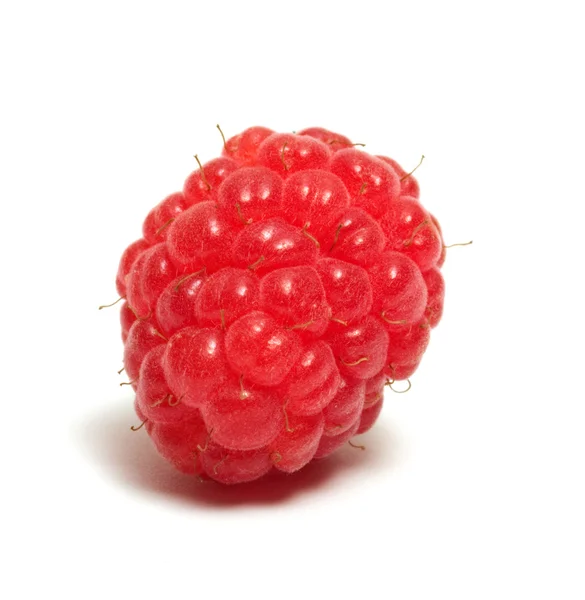 Raspberry. — Stock Photo, Image
