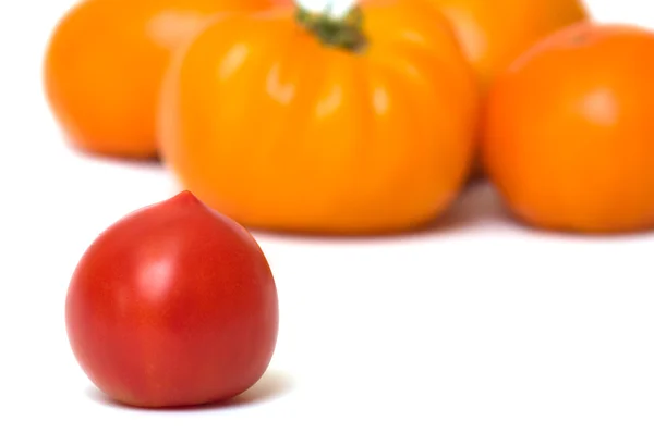 Tomates. — Photo
