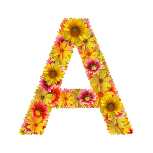 Квіти літери A — стокове фото