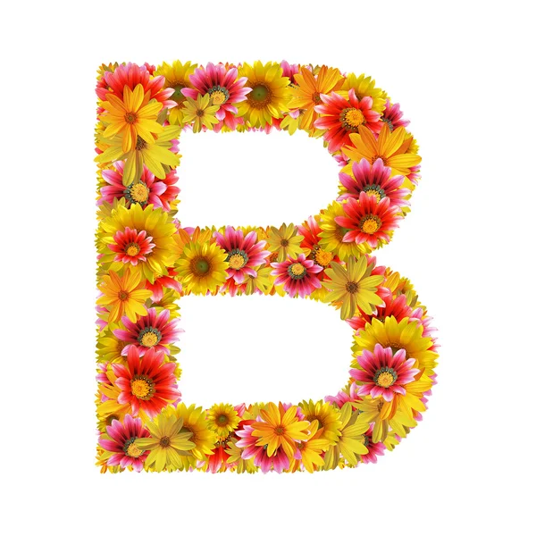 Çiçekler mektup b — Stok fotoğraf