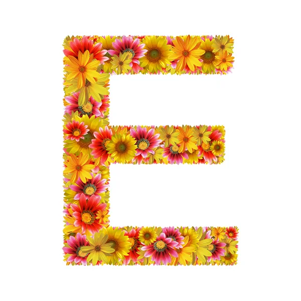 Flores letra E — Fotografia de Stock