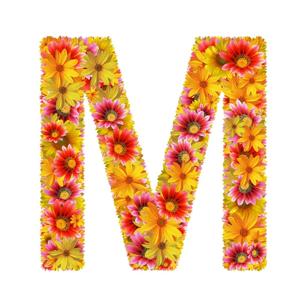 Flores letra M — Fotografia de Stock