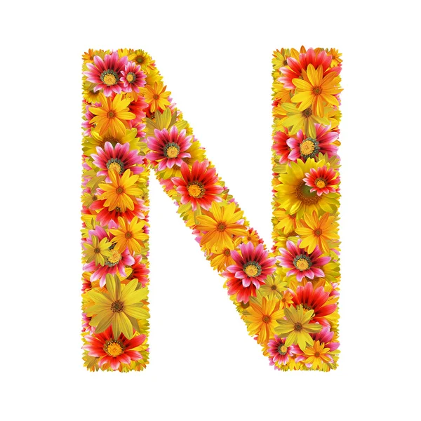 Flowers letter N — Stock Photo, Image