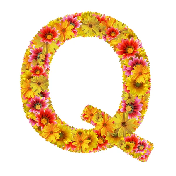 Flowers letter Q — Stock Photo, Image