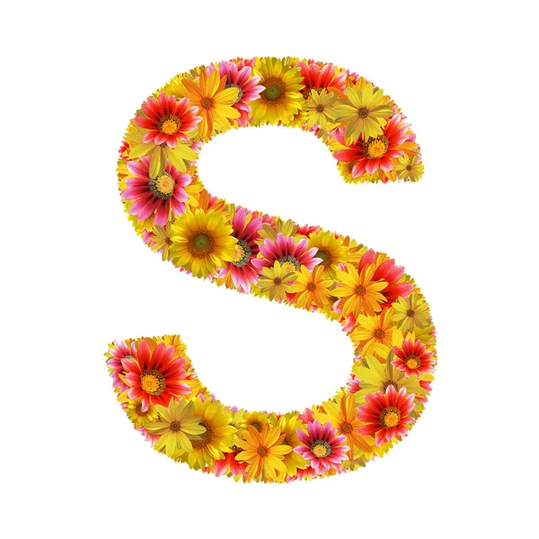 Flowers letter S — Stock Photo, Image