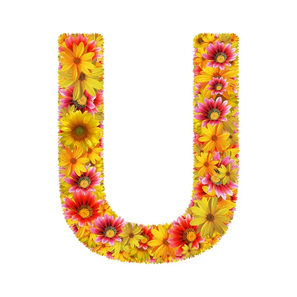 Flores letra U — Fotografia de Stock