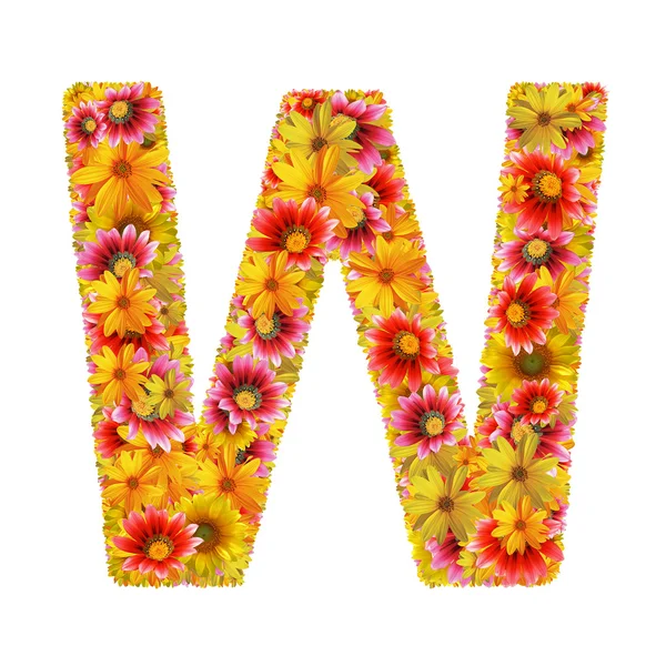 stock image Flowers letter W