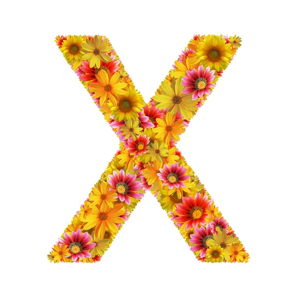 Çiçekler harf x — Stok fotoğraf