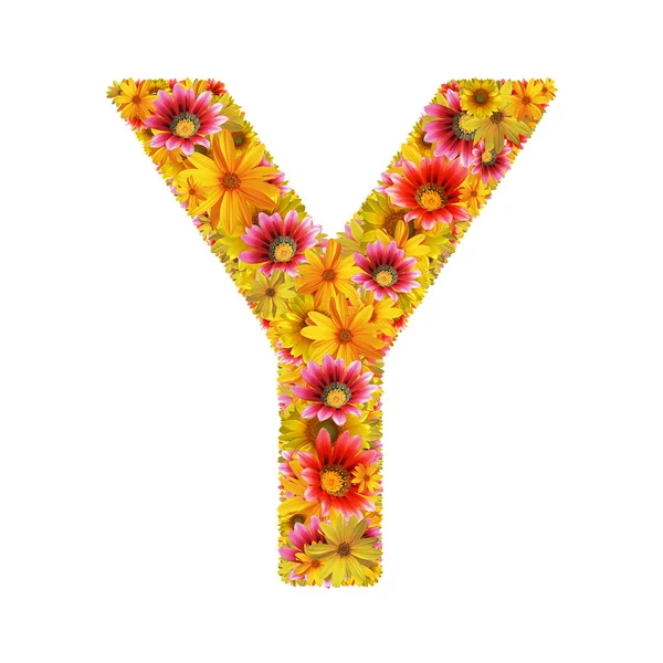 Virágok-betű y — Stock Fotó