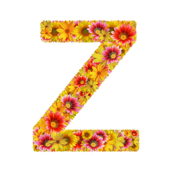 Flowers letter Z — Stock Photo, Image