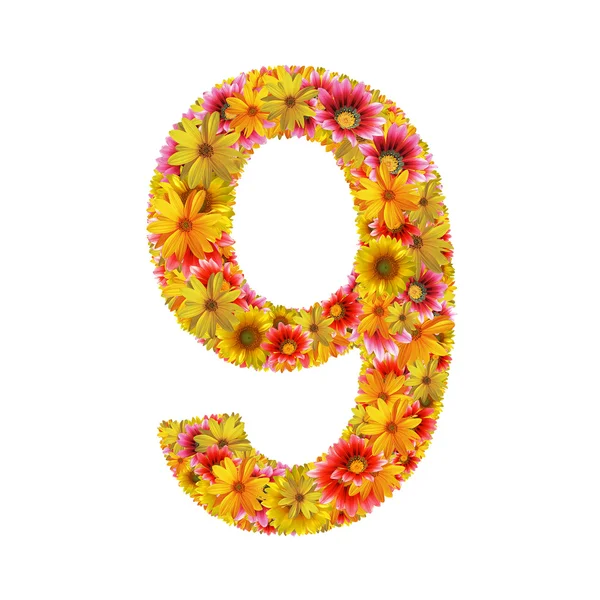 Flowers number nine — Stock Photo, Image