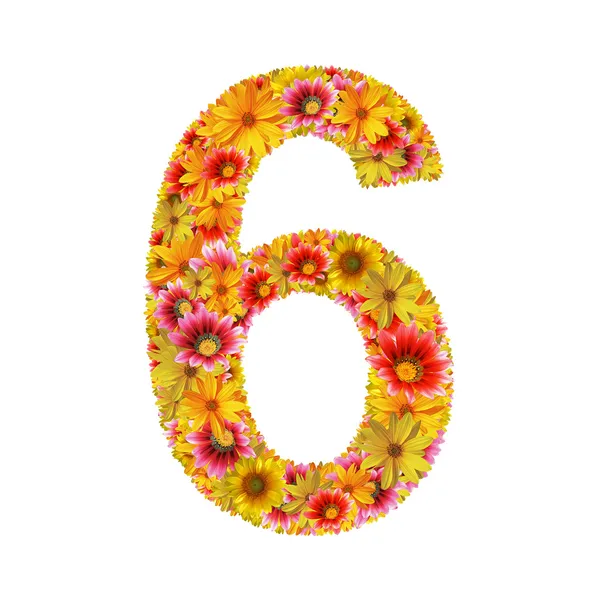 Flores número seis — Fotografia de Stock
