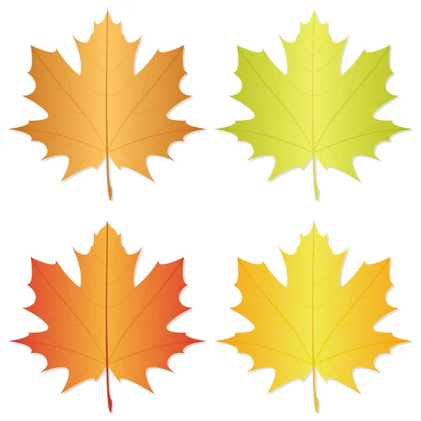 Herbstblatt — Stockvektor