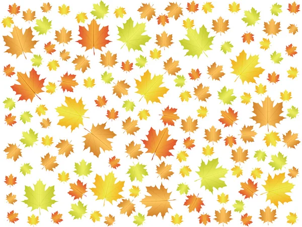 Herbst Blatt Hintergrund — Stockvektor