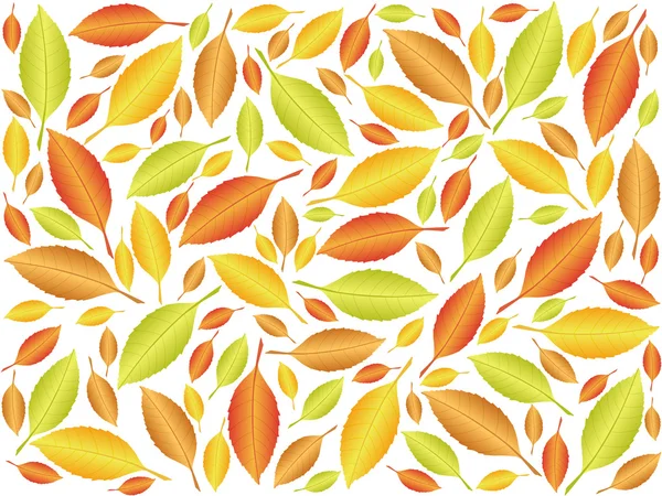 Herbst Blatt Hintergrund 2 — Stockvektor