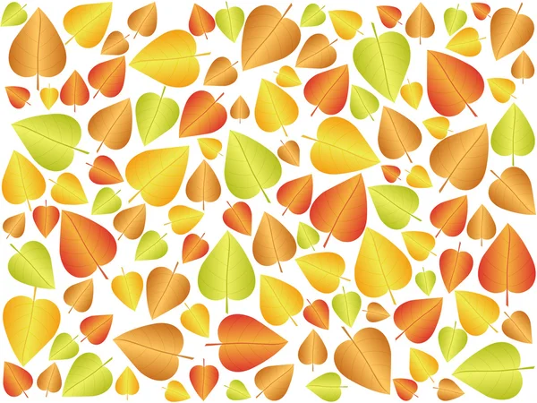 Podzimní listí pozadí 3 — Stockový vektor