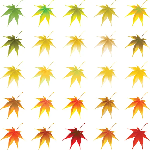 Vector hojas de otoño — Vector de stock