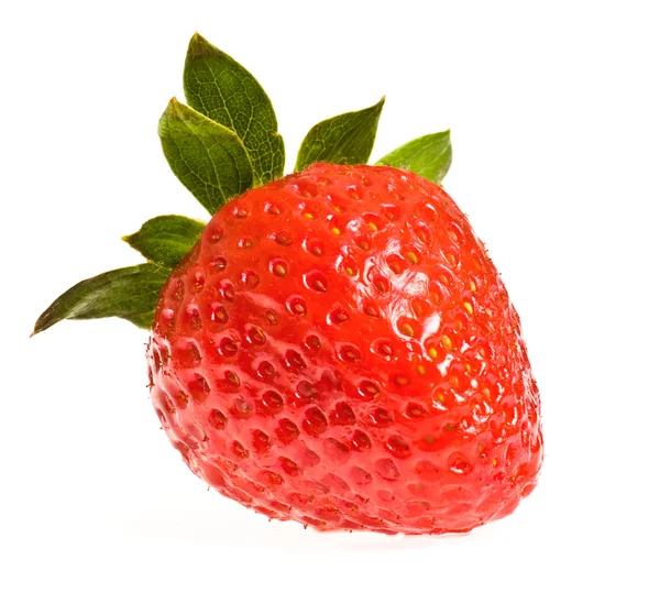 Enskilt mogen jordgubbe — Stockfoto