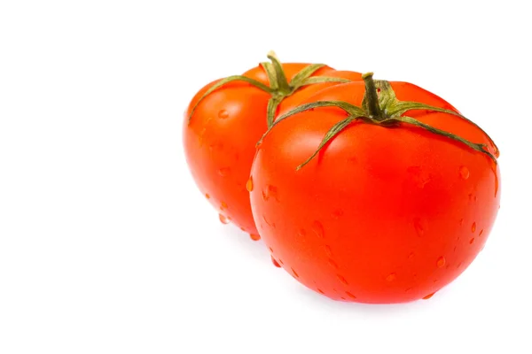 Mogna tomater — Stockfoto