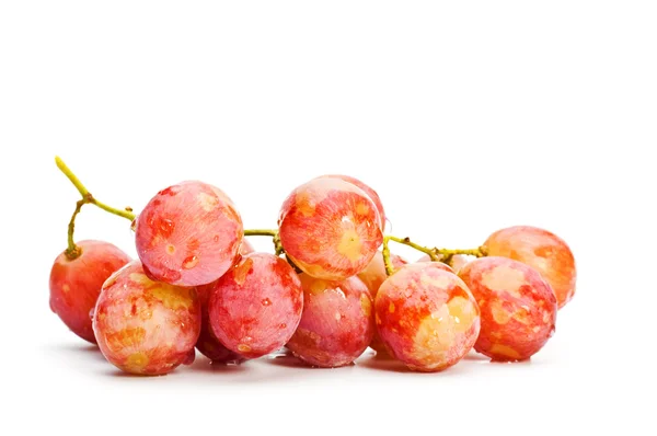 stock image Bunch of red grape