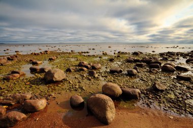 Rocky seashore clipart