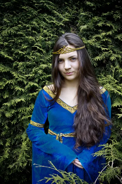 Princesa elfa mirando desde el arbusto —  Fotos de Stock