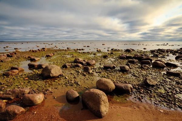 Orilla rocosa del mar — Foto de Stock