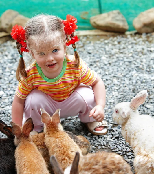 Menina feliz alimentar grupo coelho . — Fotografia de Stock