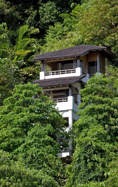 Resort benessere nella foresta pluviale verde . — Foto Stock