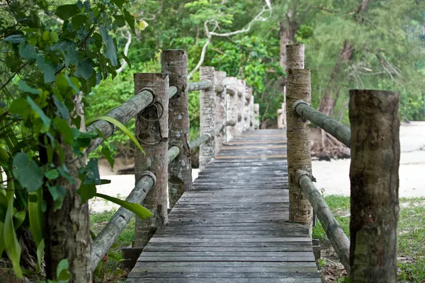 Houten brug in Maleisië jungle. — Stockfoto