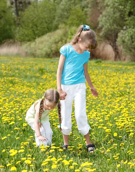 Děti v poli s květinou. — Stock fotografie