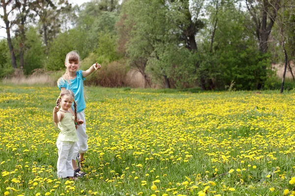 Copii în câmp cu flori . — Fotografie, imagine de stoc