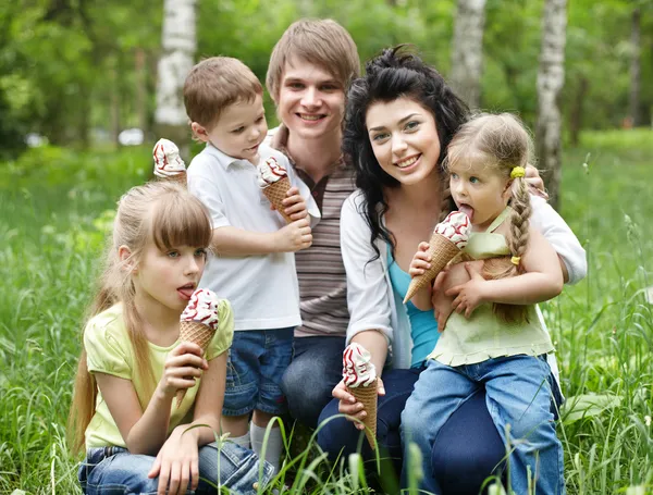Семья на свежем воздухе с детьми на зеленой траве . — стоковое фото