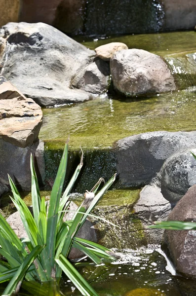 Quellwasser fließt auf Stein. — Stockfoto