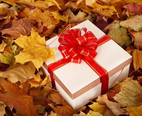 Bodegón de otoño con caja de regalo . — Foto de Stock
