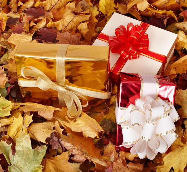 Осенний натюрморт с групповым подарком . — стоковое фото