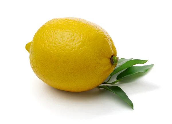 Limón con hojas — Foto de Stock