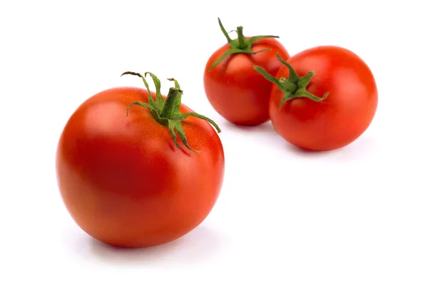 stock image Tomatoes