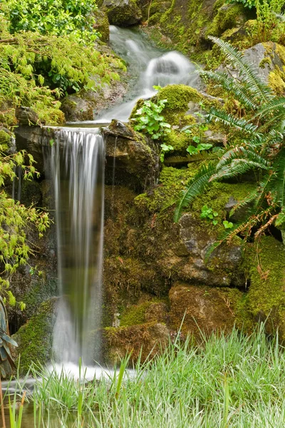 Small garden waterfall — Stock Photo, Image